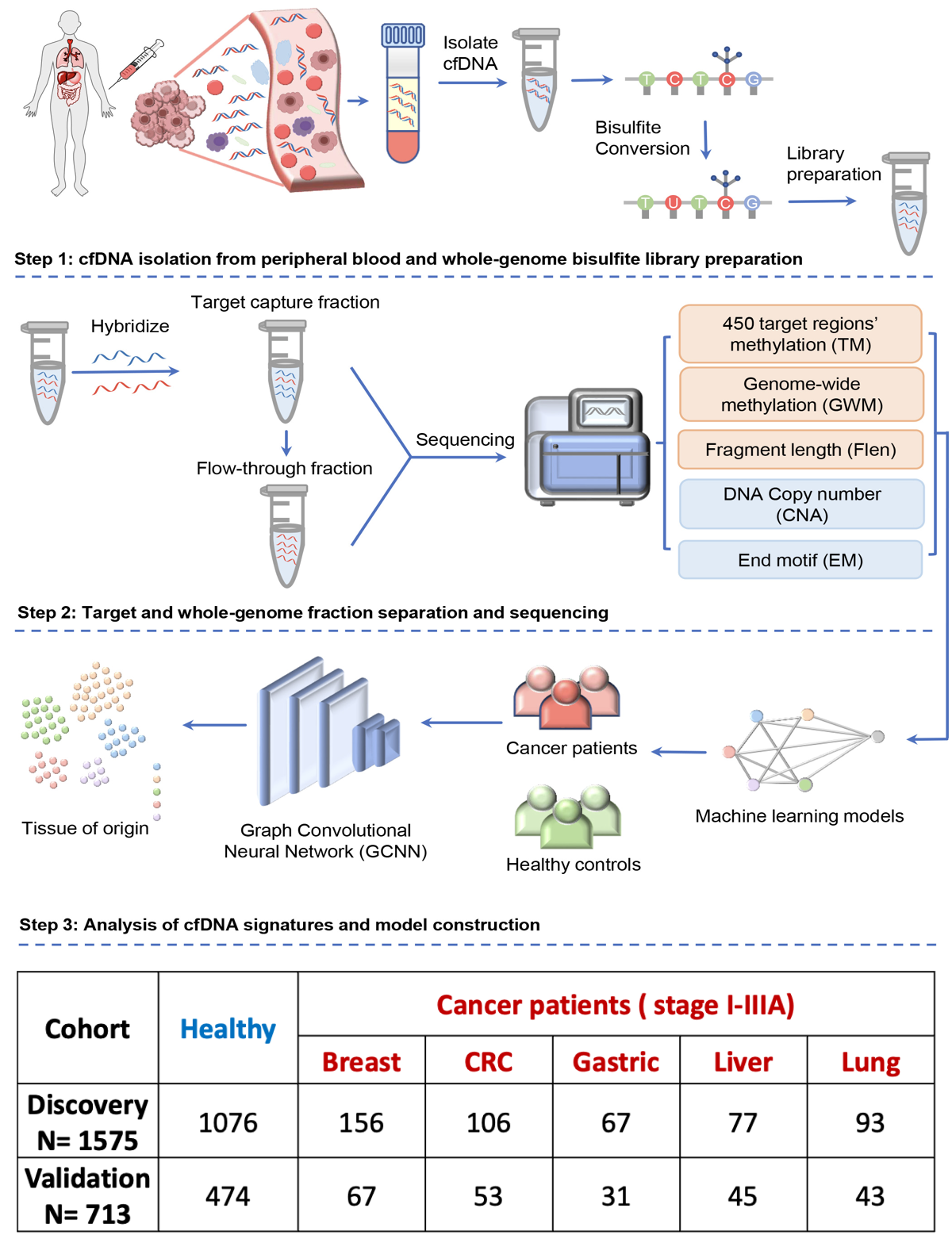 Workflow of SPOT-MAS assay for multi-cancer detection and localization